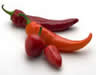 chillies